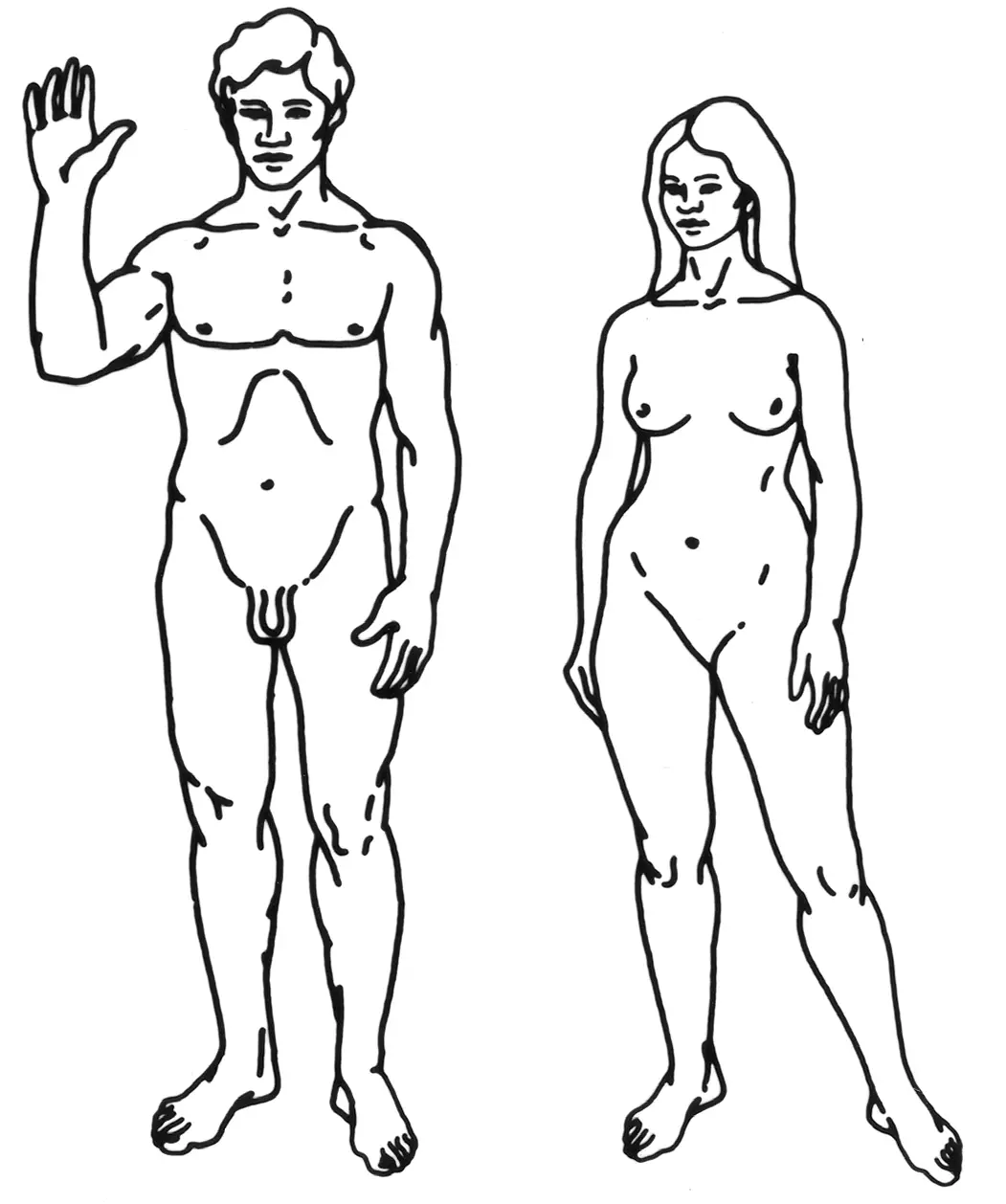 Dessin en ligne noire d'un homme nu saluant avec la main droite et d'une femme nue debout, représentant l'humanité sur la plaque de la sonde spatiale Pioneer.