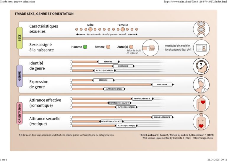 Schéma explicatif de la triade sexe, genre et orientation, illustrant les dimensions biologiques, identitaires et relationnelles, avec des curseurs représentant la diversité du développement sexuel, de l'identité de genre, de l'expression de genre et des attirances affective et sexuelle.
