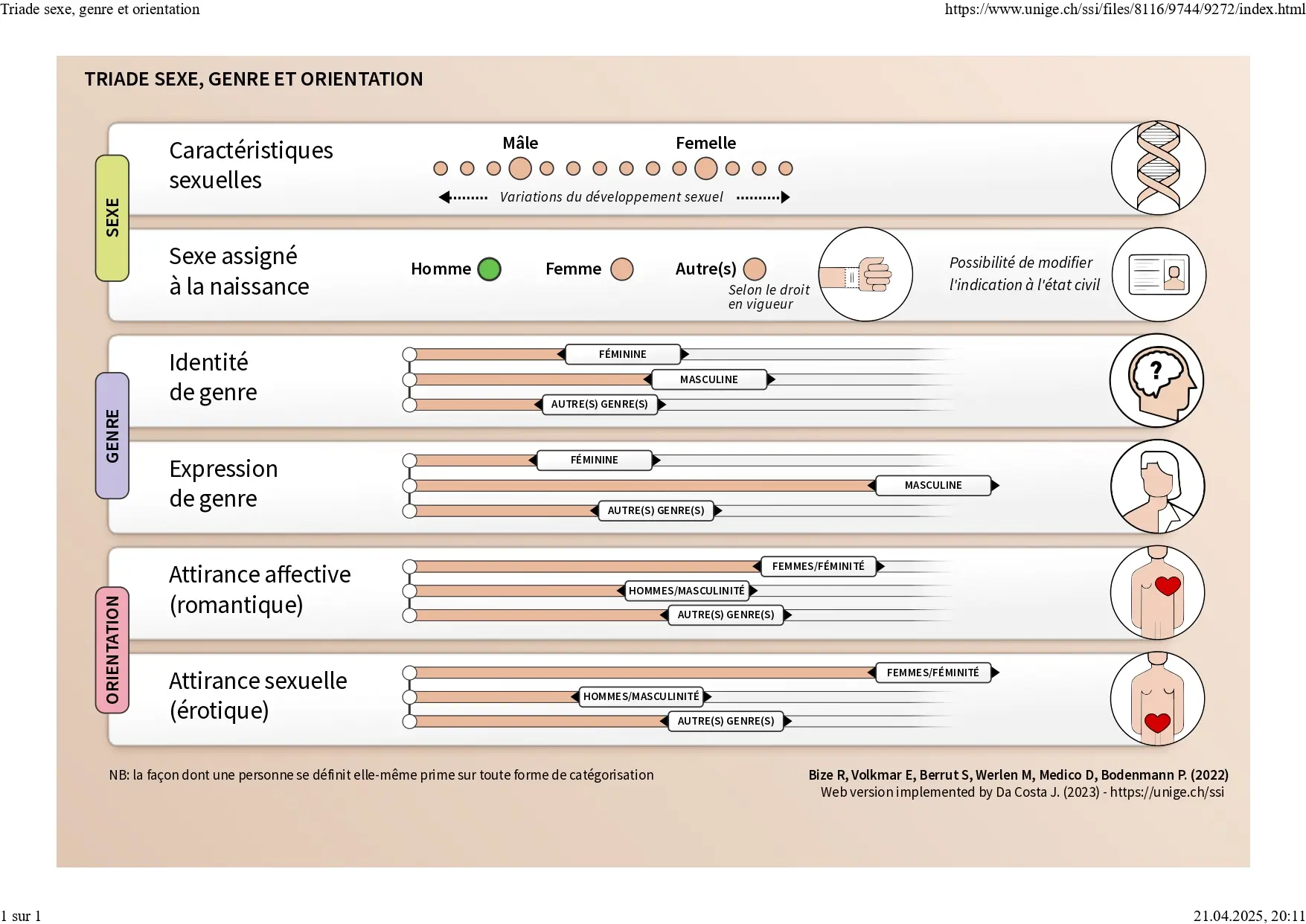 Schéma explicatif de la triade sexe, genre et orientation, illustrant les dimensions biologiques, identitaires et relationnelles, avec des curseurs représentant la diversité du développement sexuel, de l'identité de genre, de l'expression de genre et des attirances affective et sexuelle.